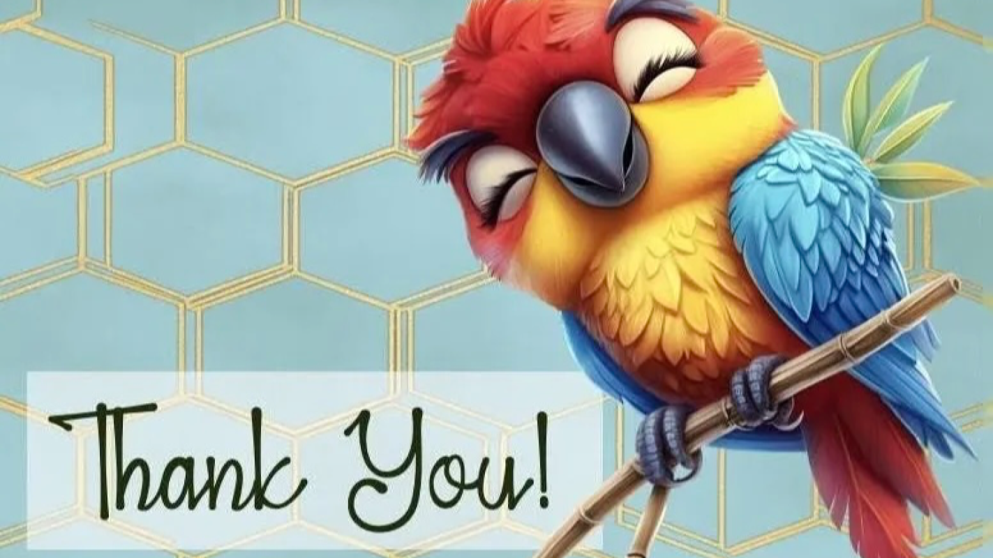 Pay off Debt and buy Home