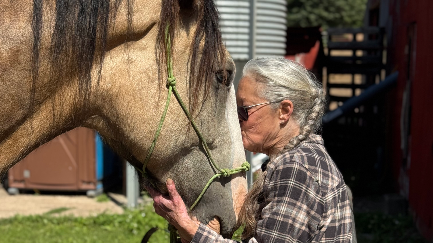 Help Natalie Keep Her Car