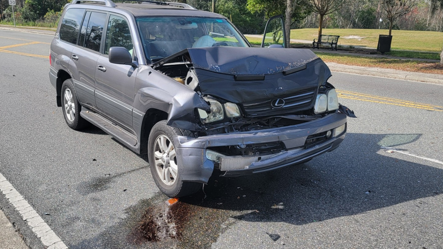 US Citizen:  Totaled Truck & Collie’s Broken Pelvis