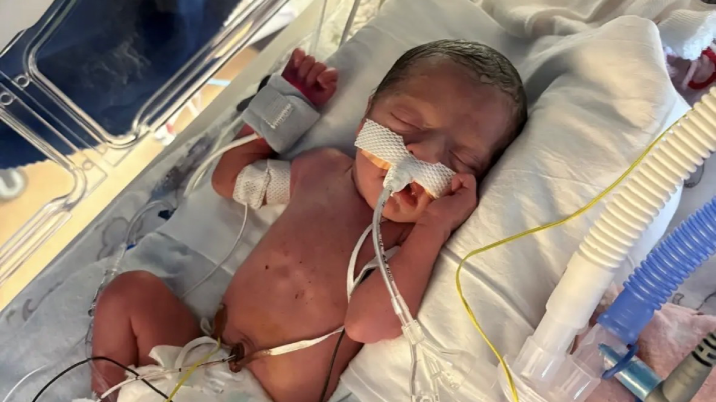 Little Angel Victoria