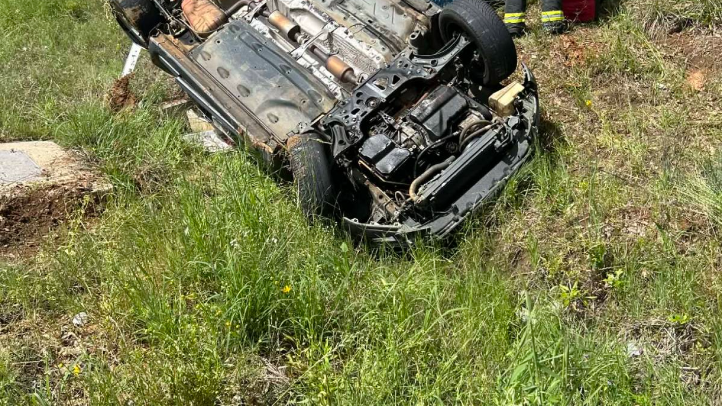 Anne needs our help!