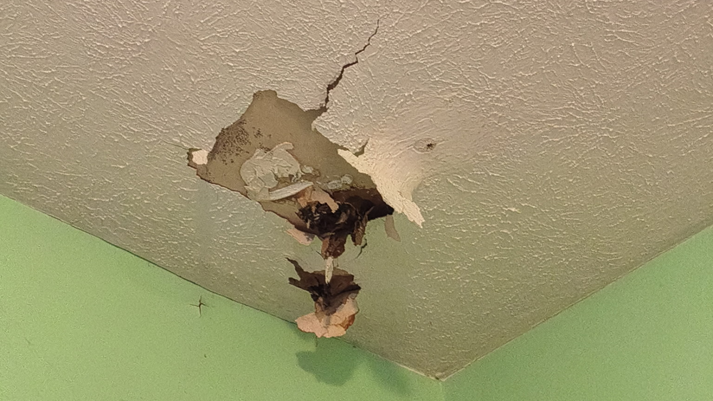 Replace My Roof and Protect My Home