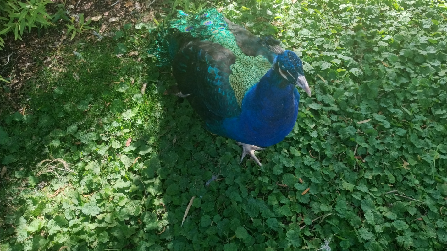 A step towards healing