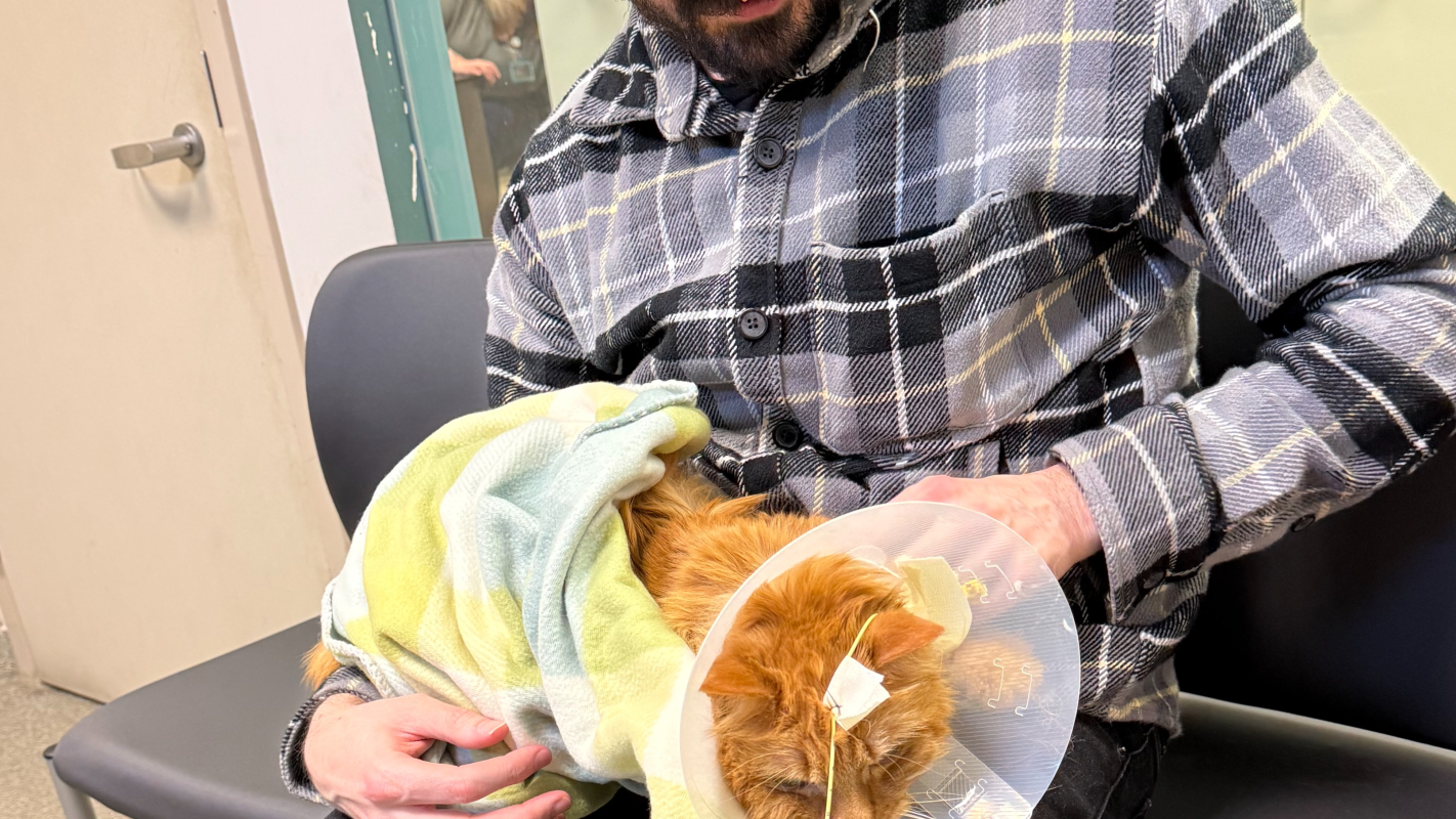 Save My only Best Friend