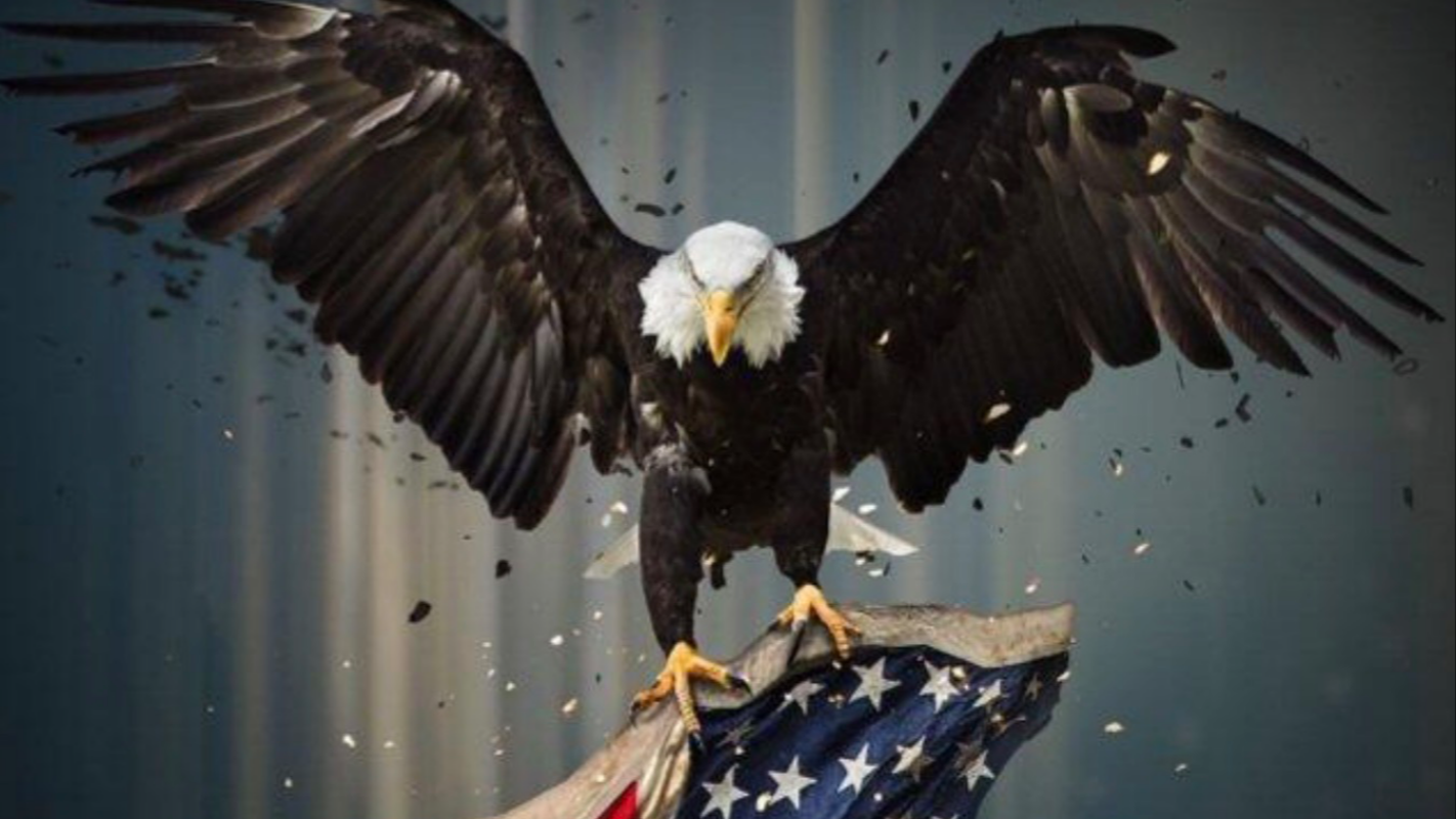 Citizenship