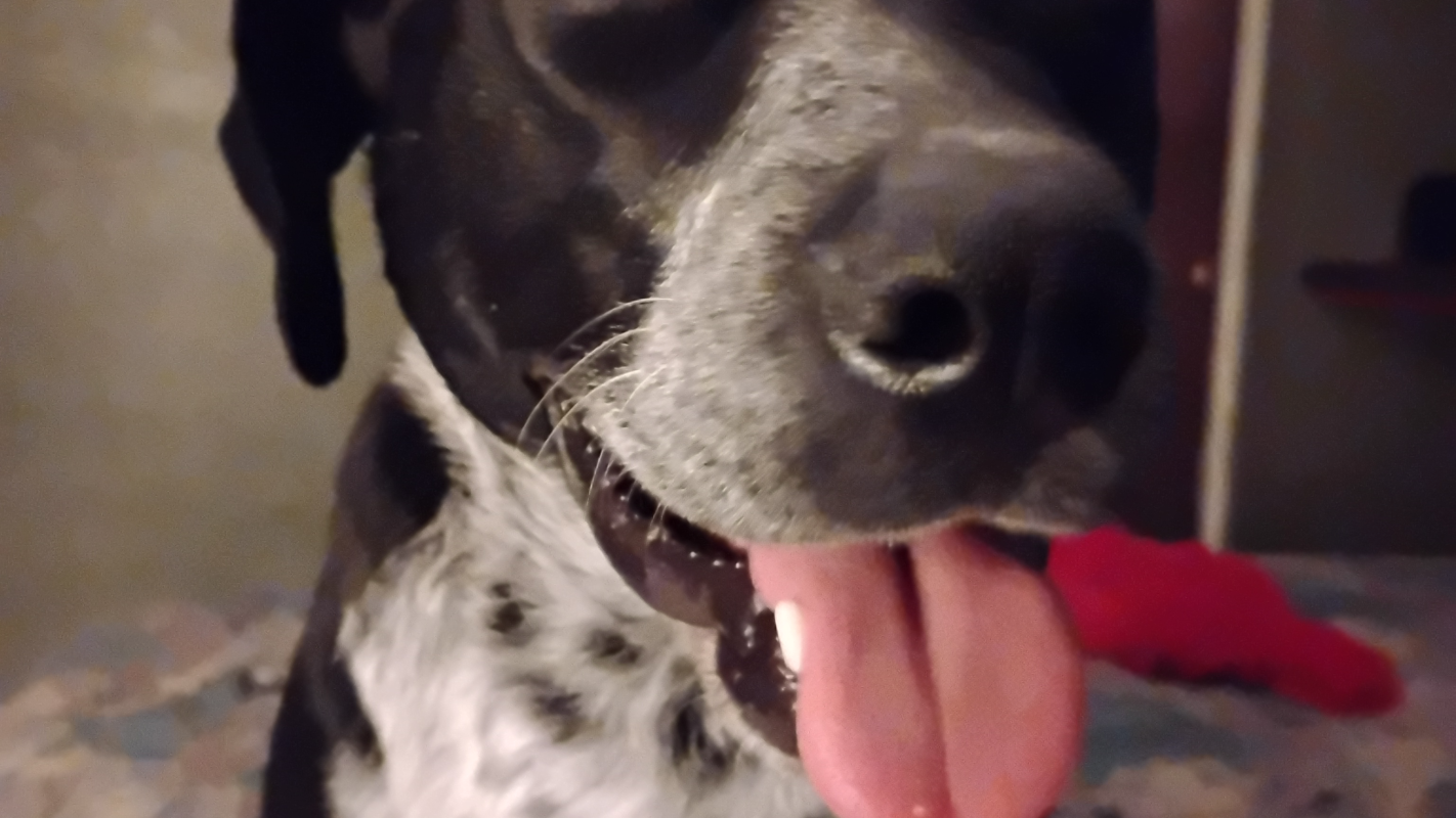 Broke. Spouse has no income I need help