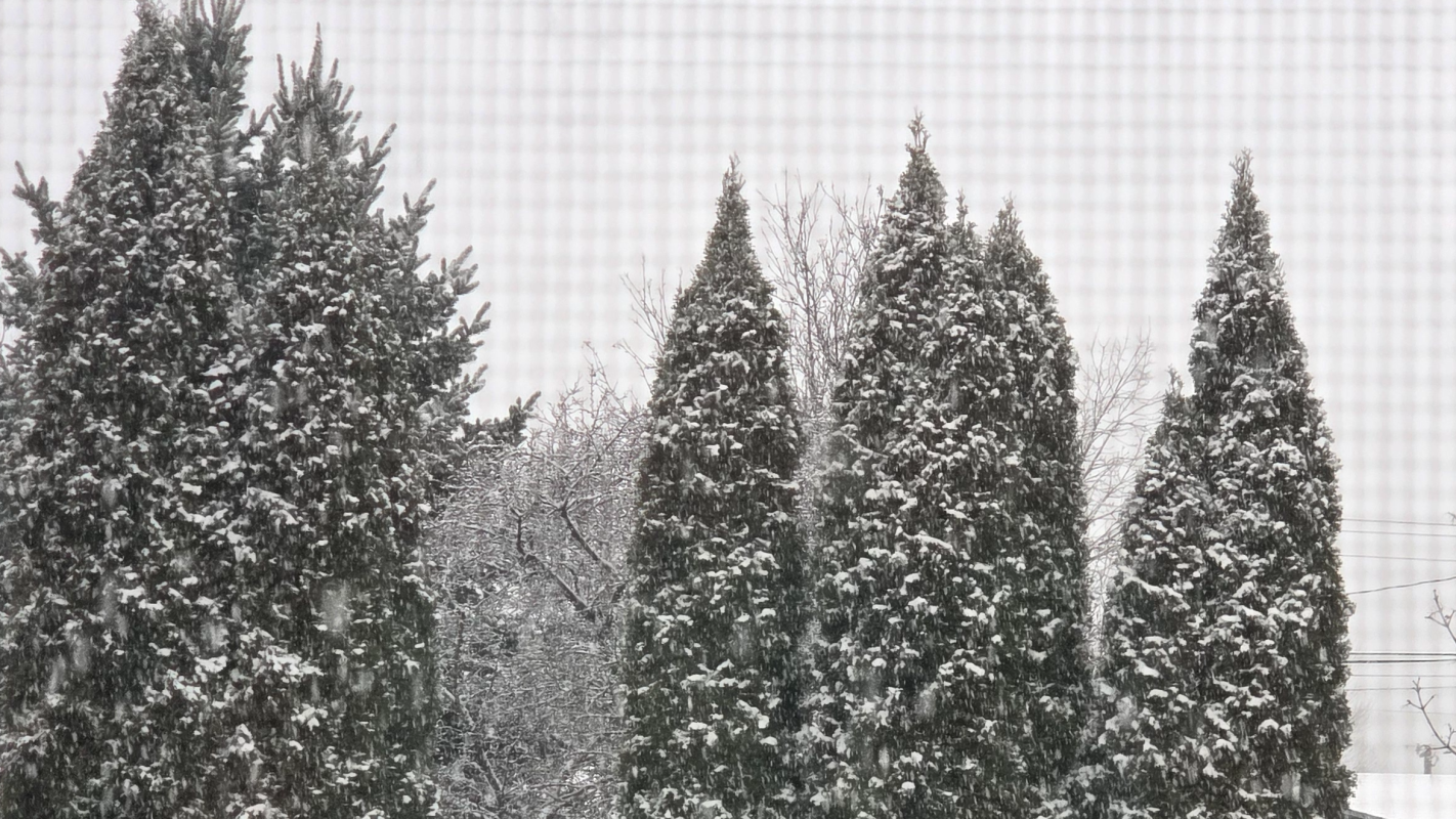 Please help us from becoming homeless.