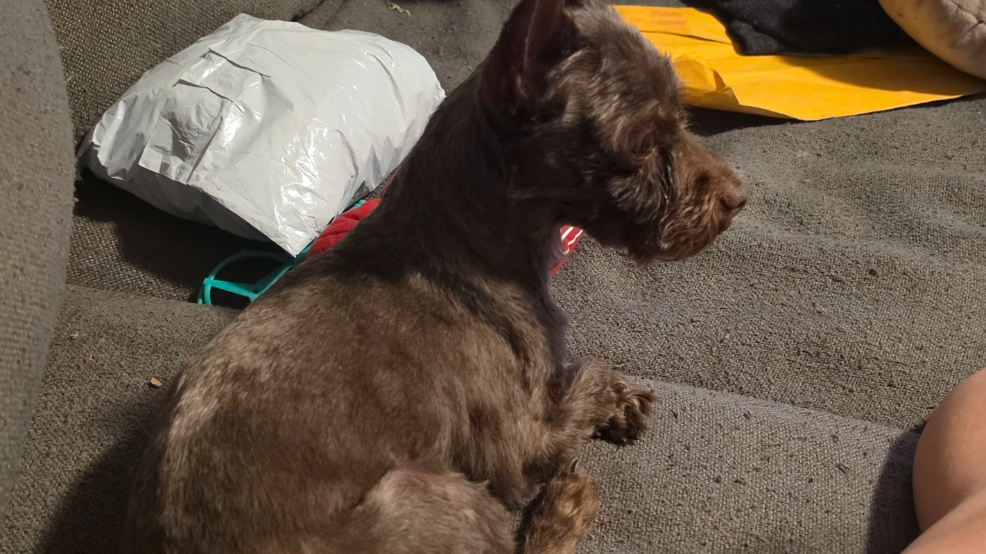 A second chance for a better life❤️