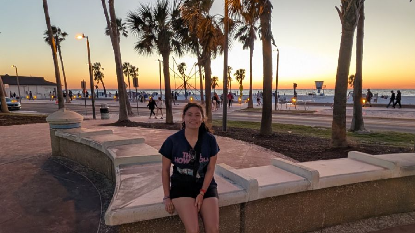 Scandinavian May Term