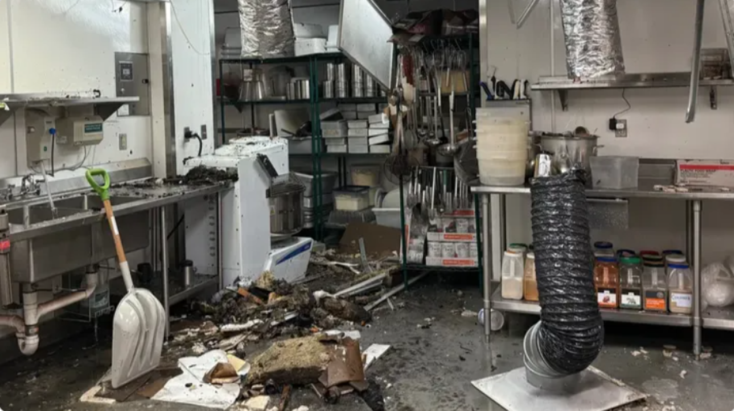 Together, We Can Rebuild Our Vegan Butcher Shop