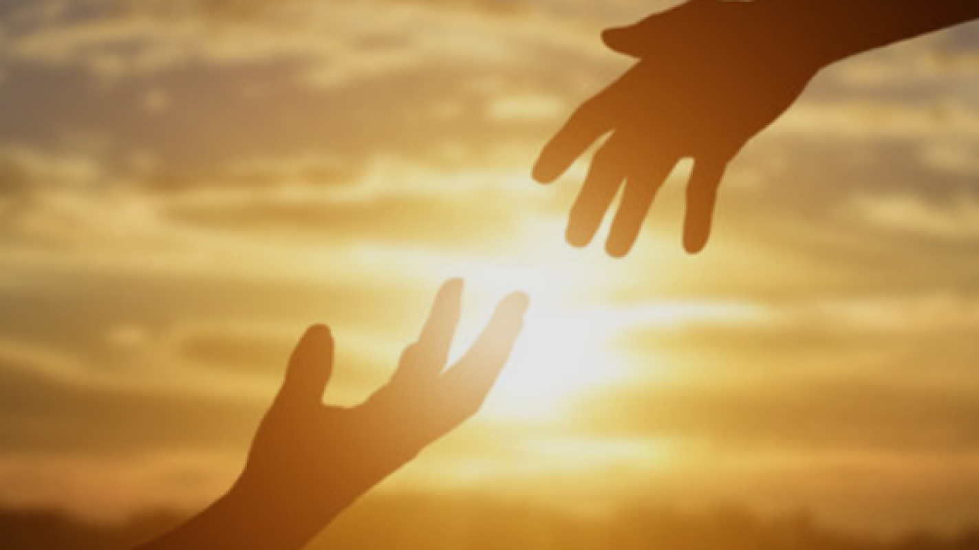 Need funds file case against scam/ fraud