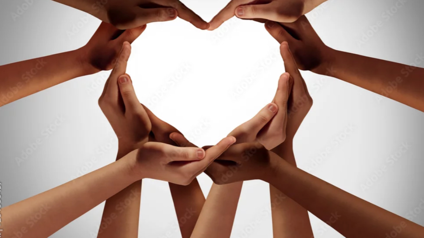 Financial support for Cat, her son & service dog