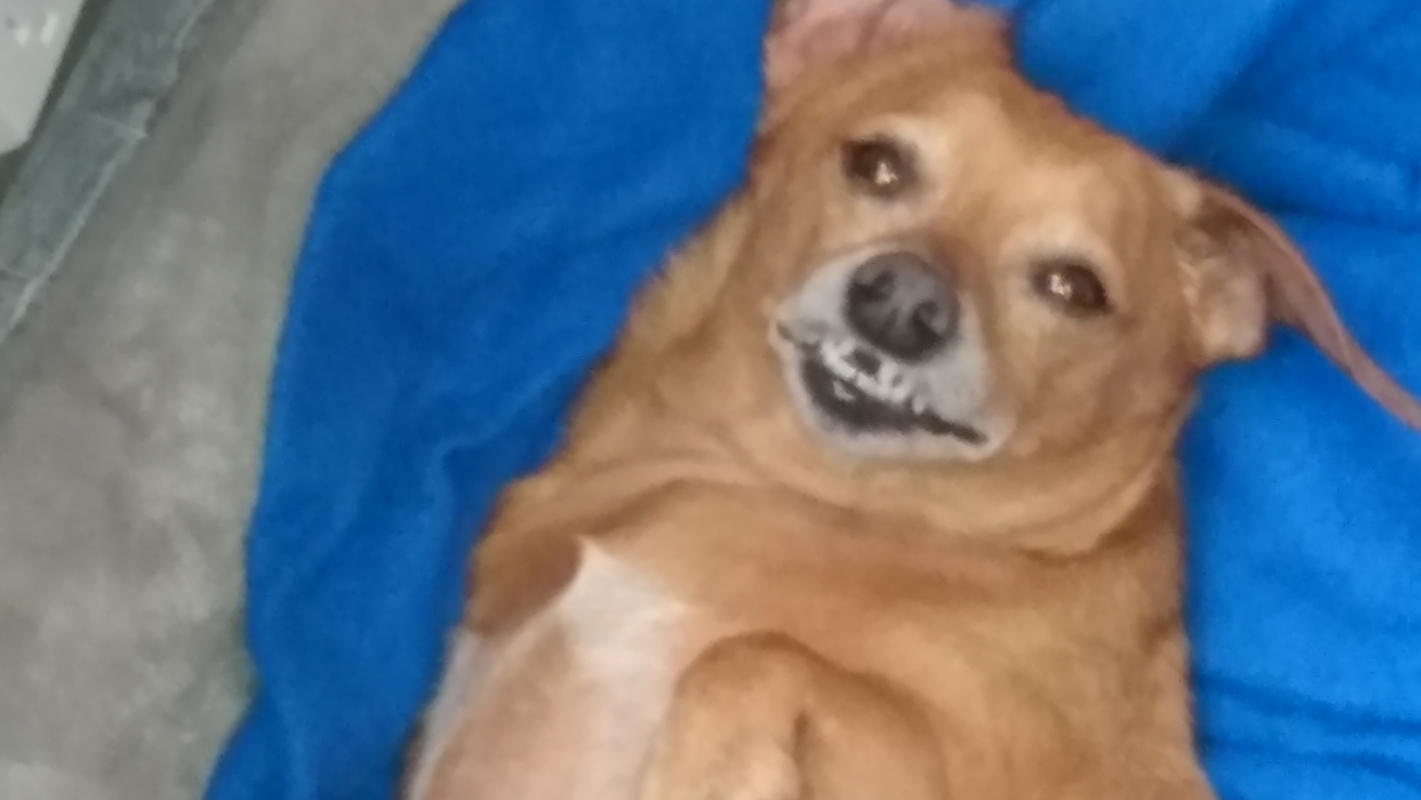 Cystostomy for my baby