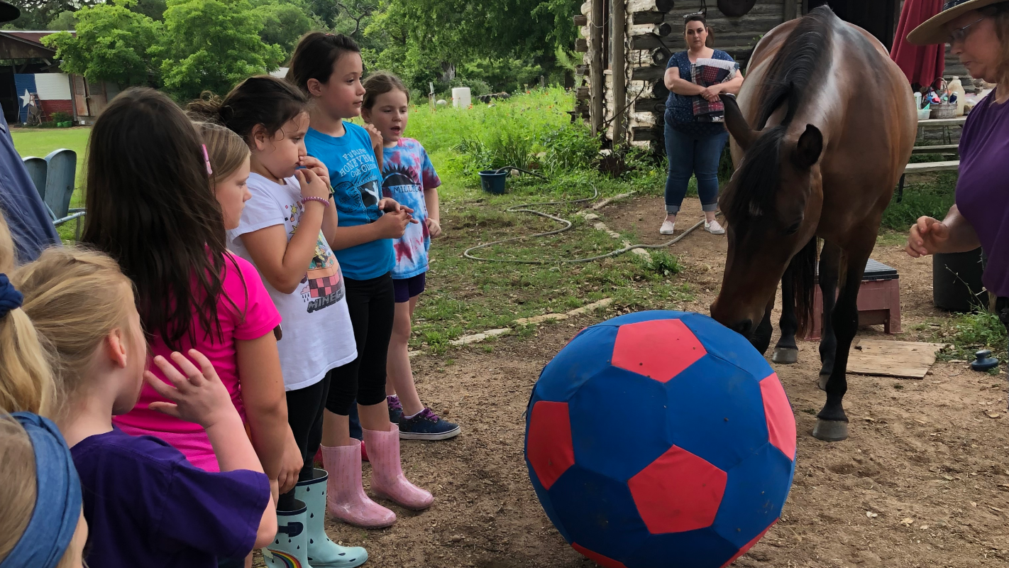 Positive First Helps Children with Social Emotional Learning