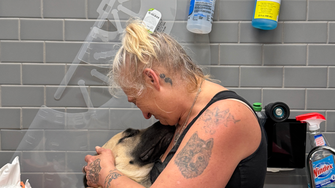 Help Me Give Trumpie the Dignified Goodbye He Deserves