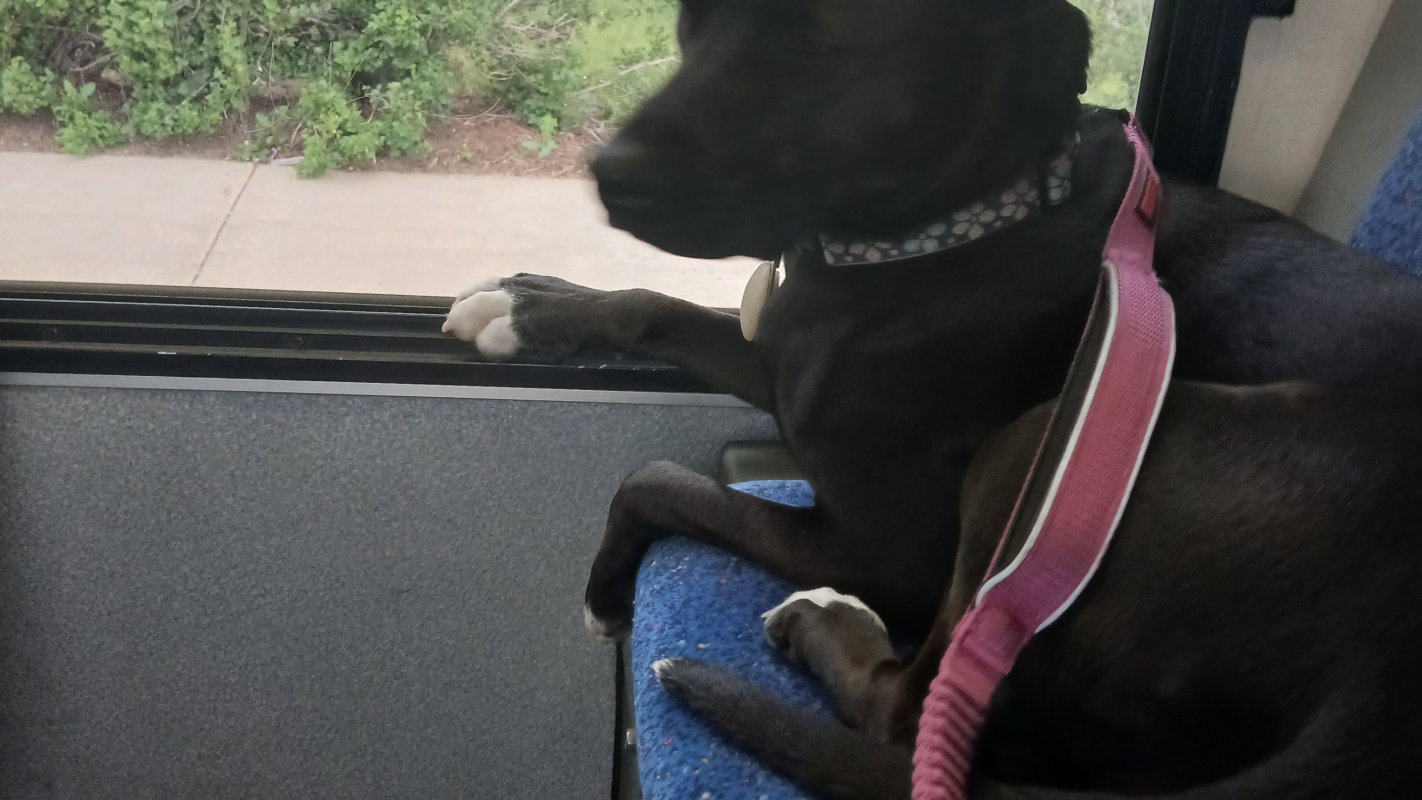 Help before i freeze and loose water