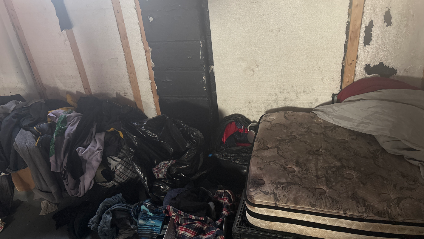 help me reach my goal towards freedom