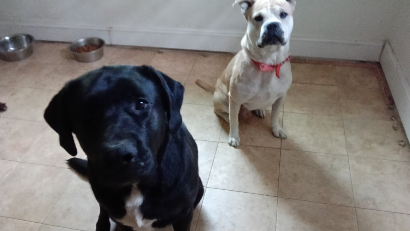 Zeus and Odin