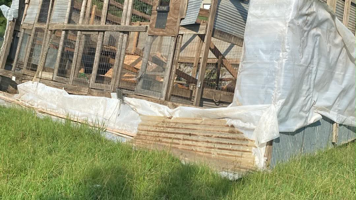 Chicken Coop