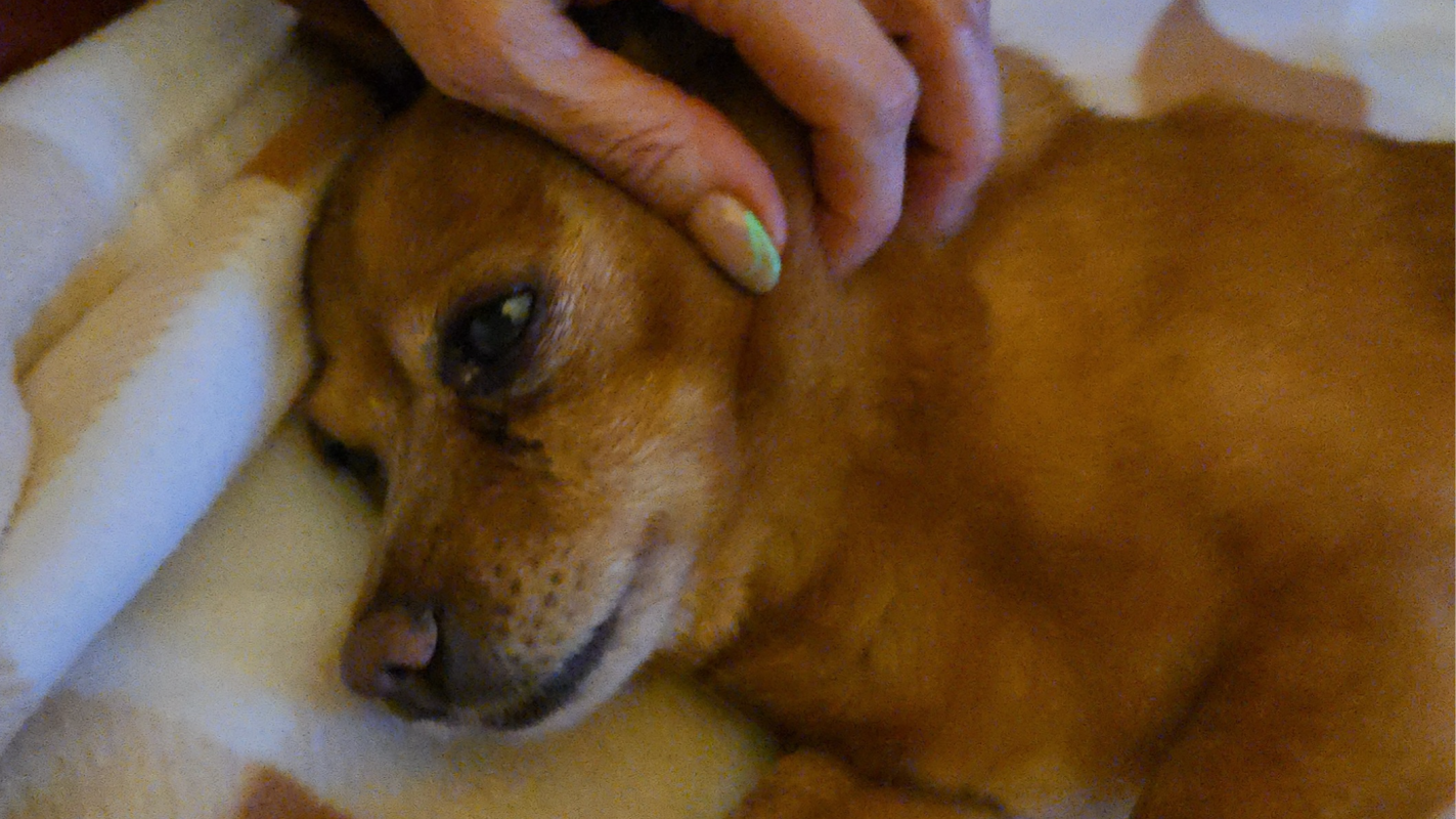 Cheerio's Cancer Treatment