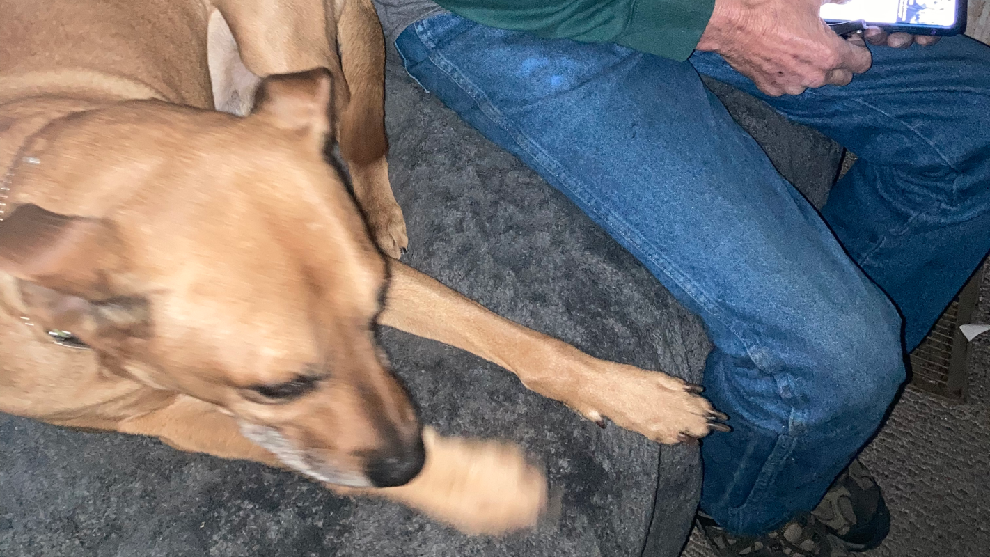 John tom and buddy boy