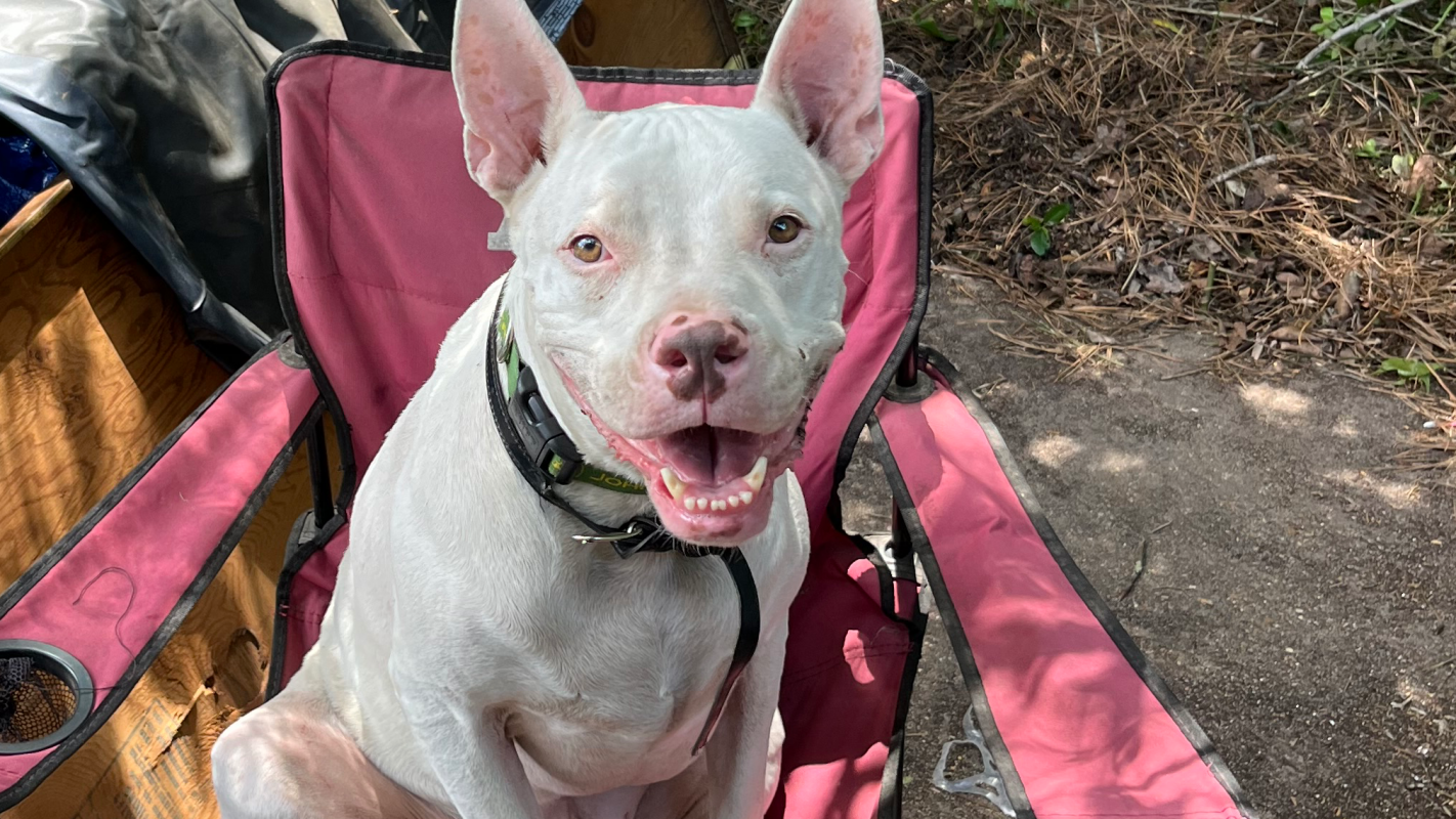 Help with me and my baby’s stay together with a new place