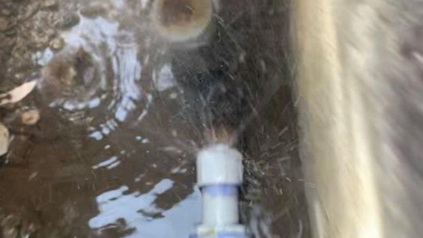 Emergency Leak Repair: Help Shannon Fix Her Ceilings