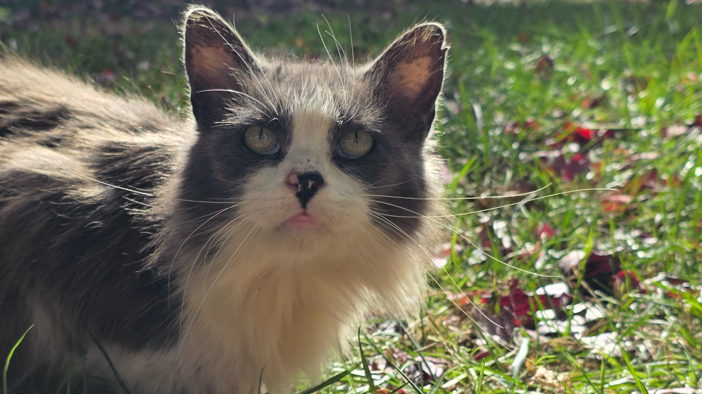 “For Luther, With Love: Helping Him Heal at Home”