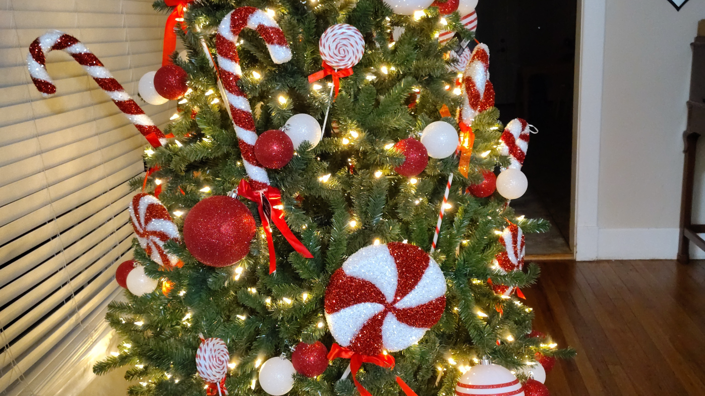 Help me,help my grandkids