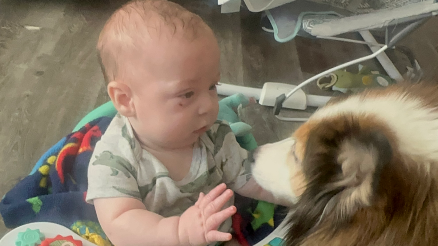 Helping Weston & Our Family Through His Medical Journey