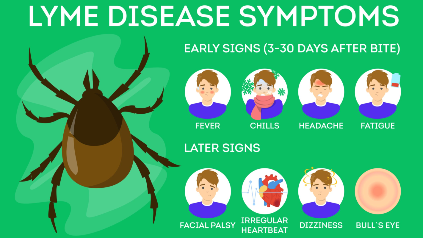 Lyme disease treatment