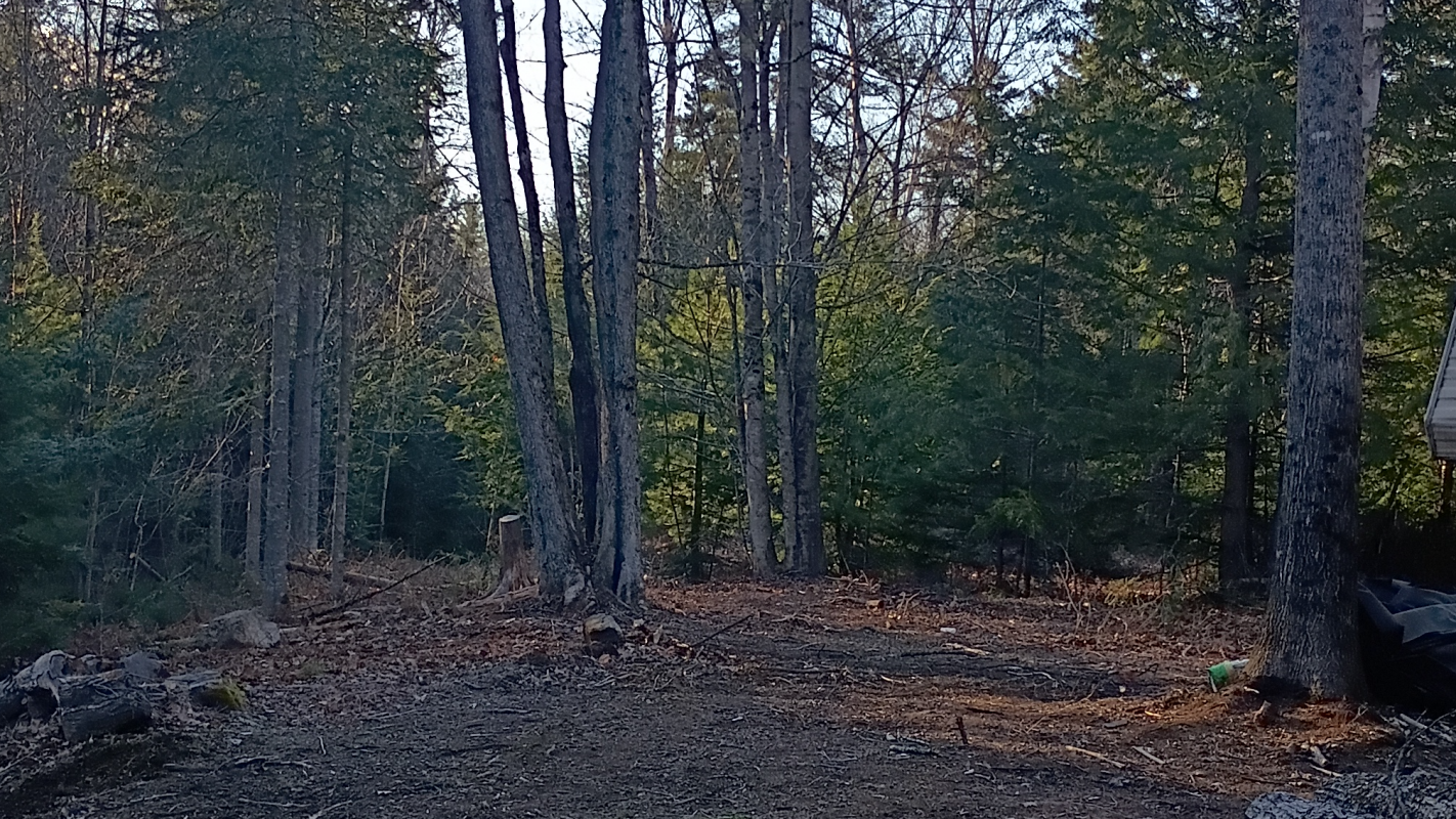 Foundation and septic