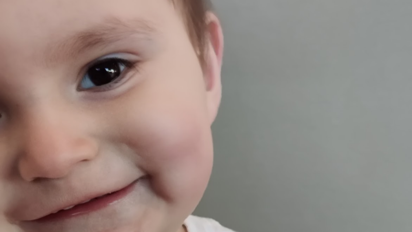 Help secure a future for Little Van!
