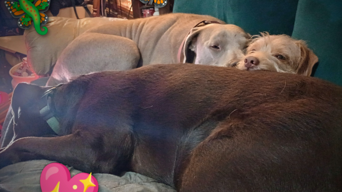 Emergency .utilities notice to shut off