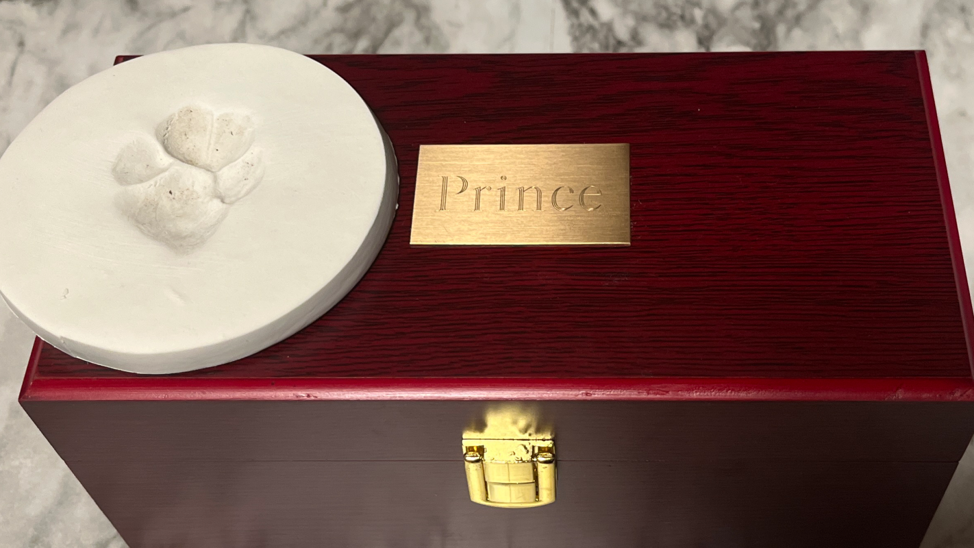 Quality of life saver