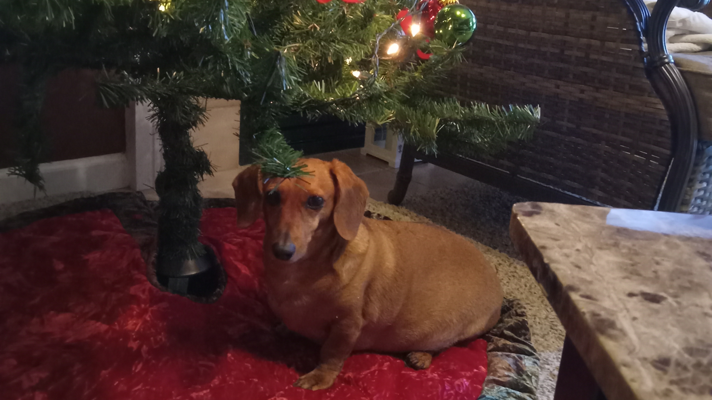 Help me save my home