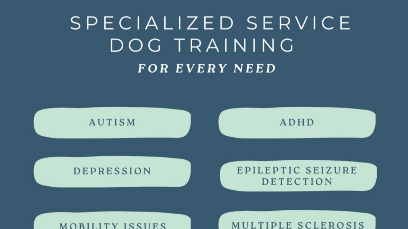 Autism service dog for my autistic son