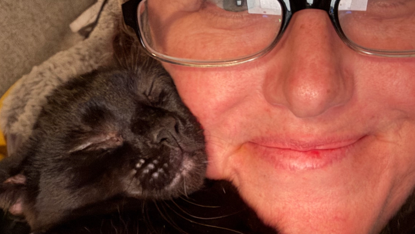 Help me & my kitties