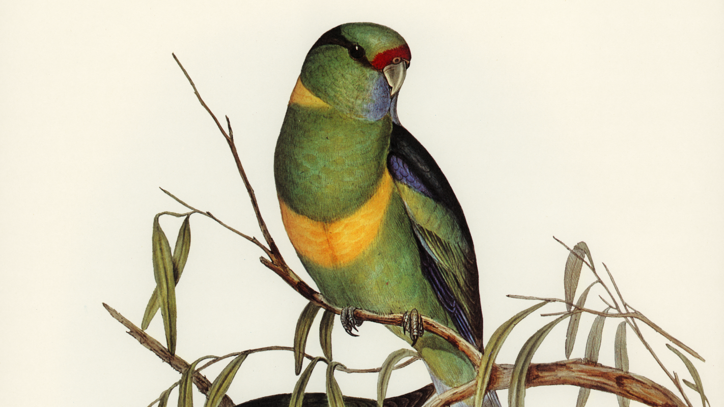 Help me give my mom the best life ever