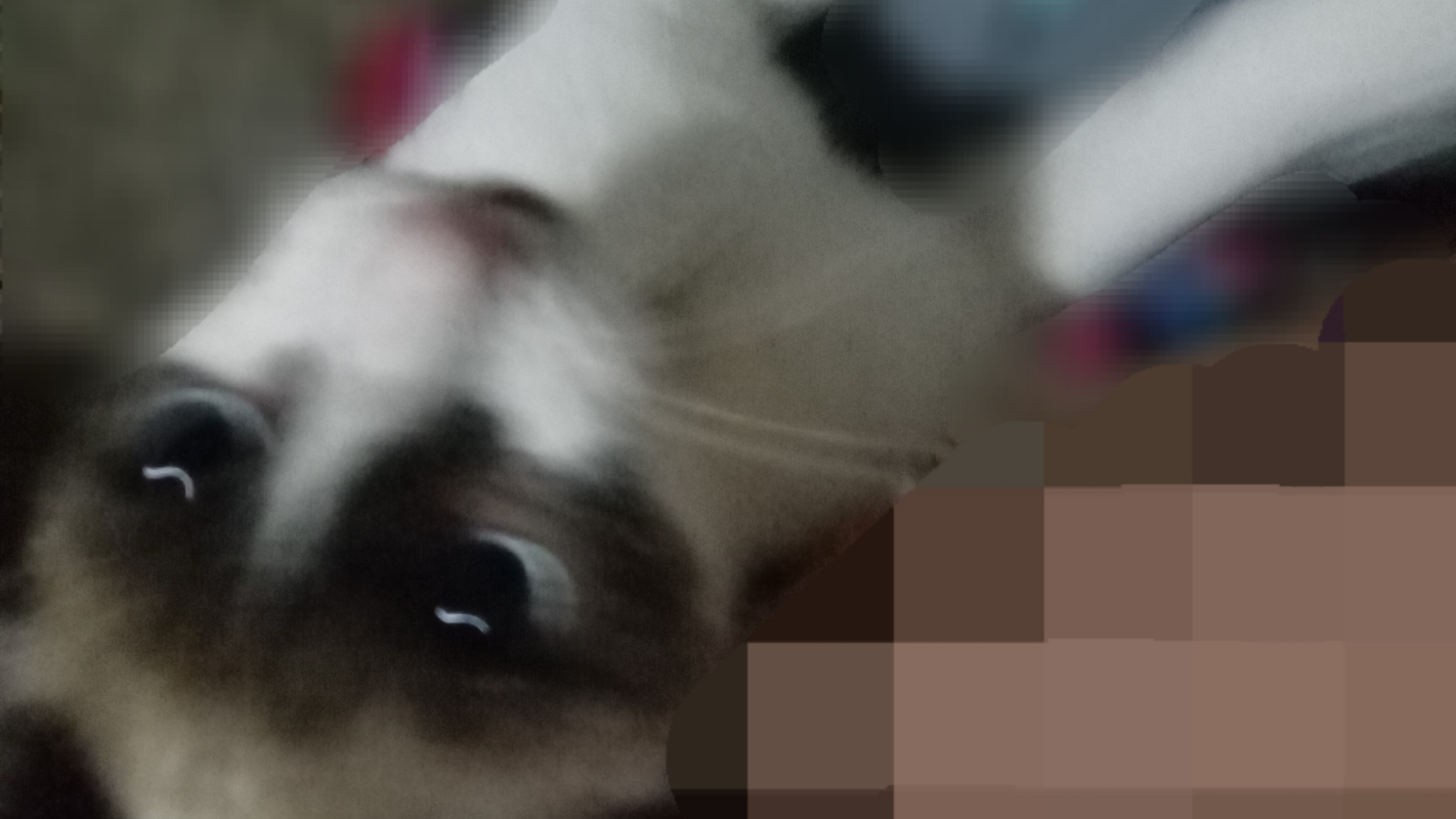 Helpme for me please