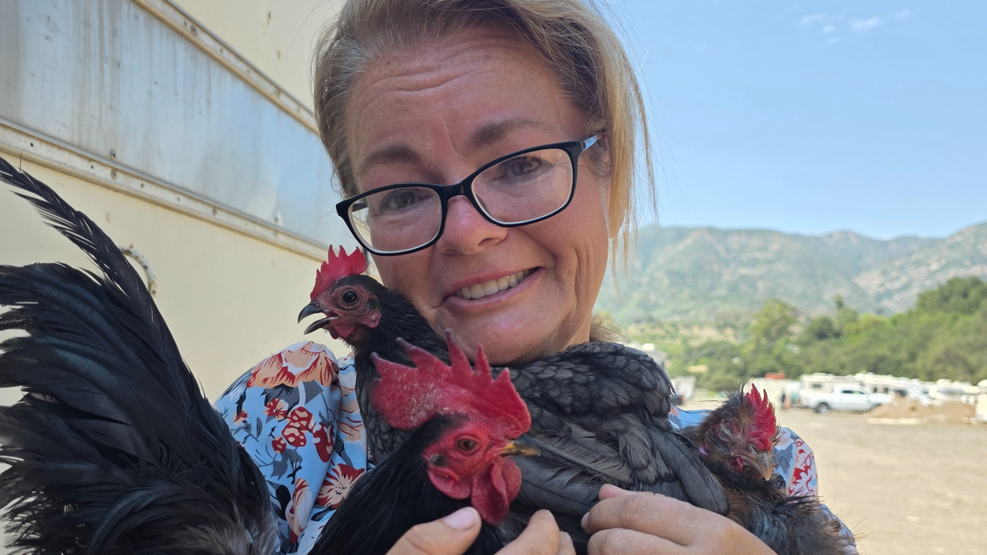 Help for Christy and her flock