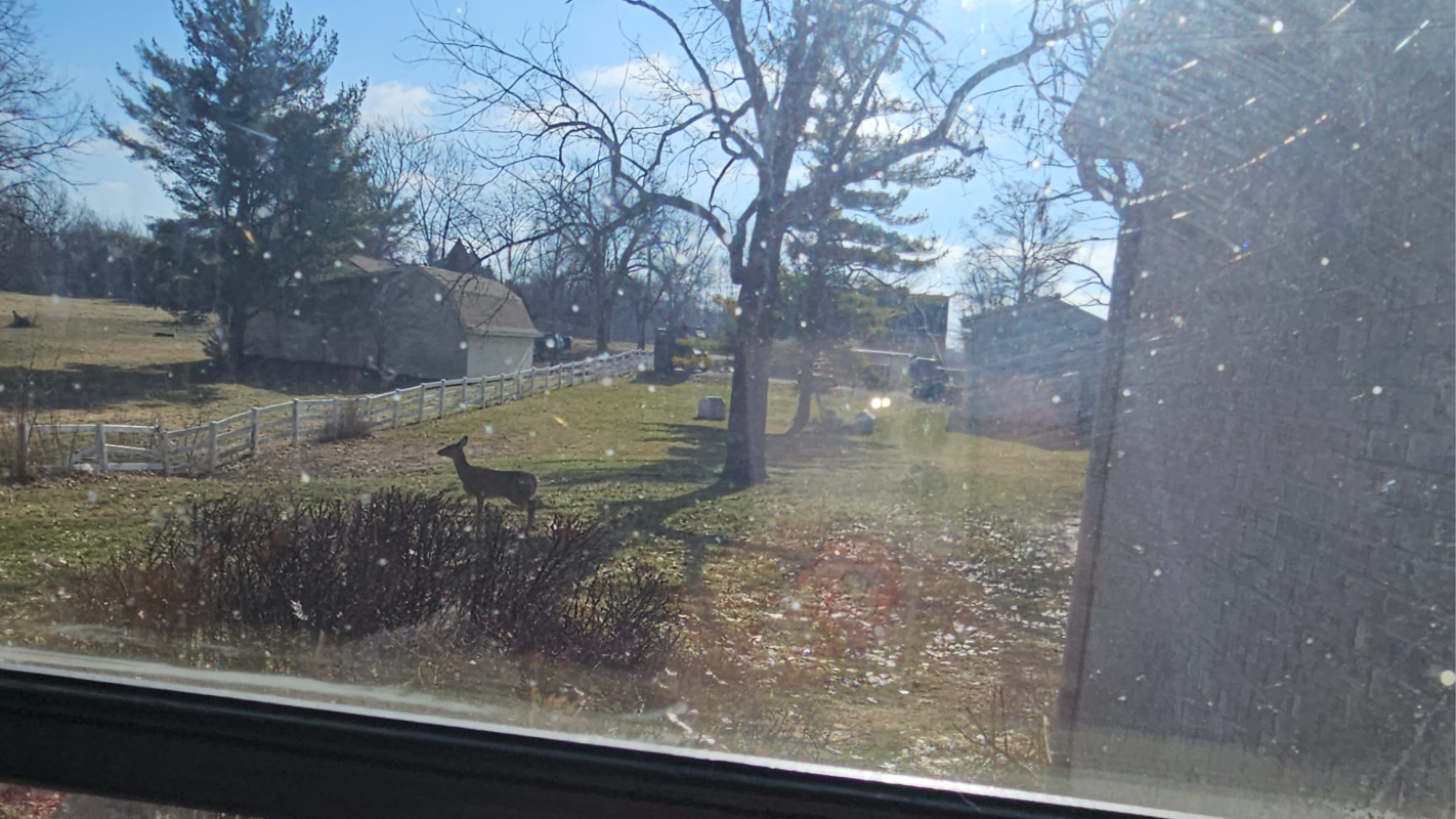 Help me stay in my home during a difficult transition