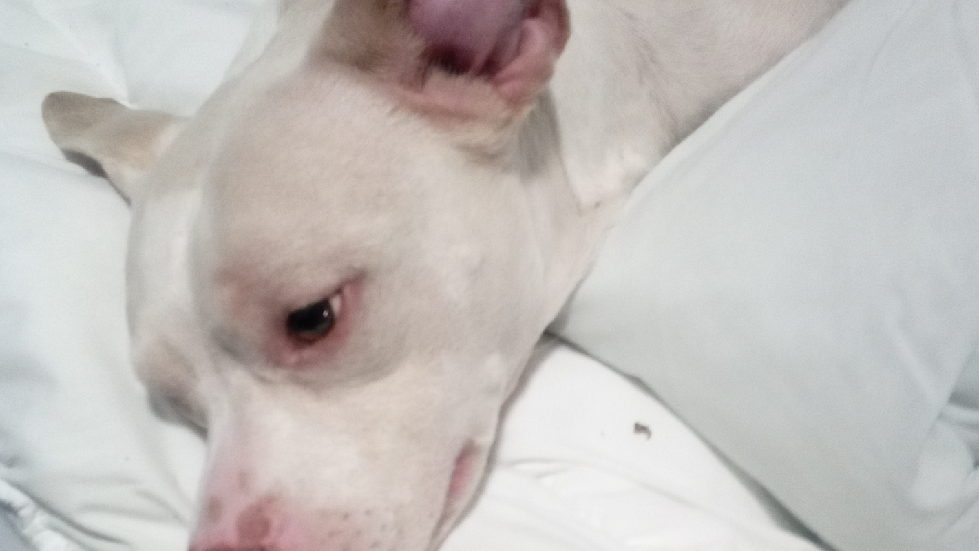 Help my baby boy infant