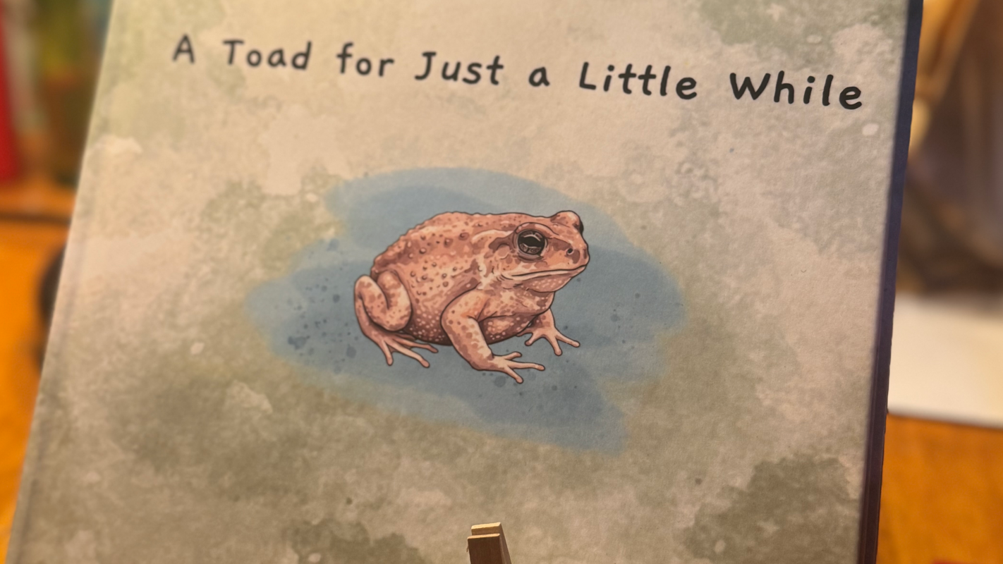 Help Me Bring My Children’s Books to More Families