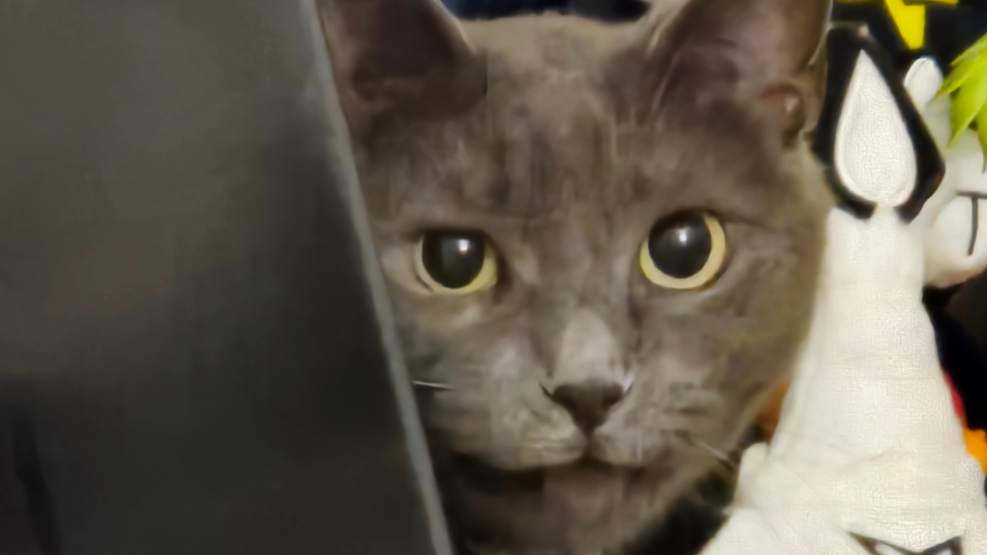 Get a Student Queer out of an Abusive Household