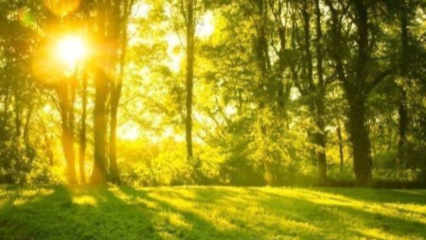A fresh start