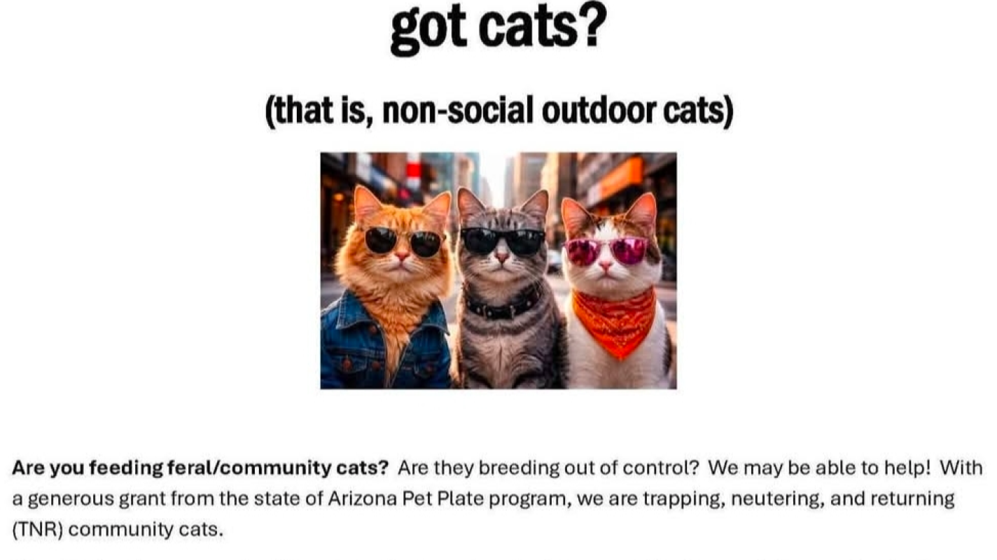 Rabies and Ear Clip costs for feral cats