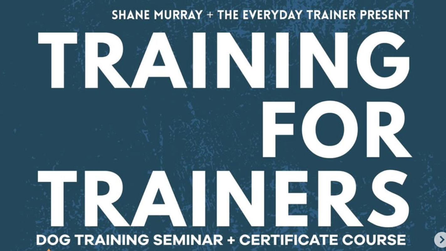 Send me to Training to help more rescue dogs!