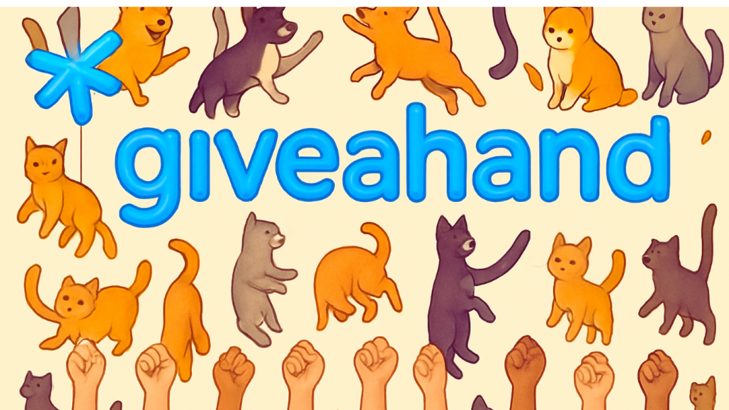 Every paw deserves a loving home