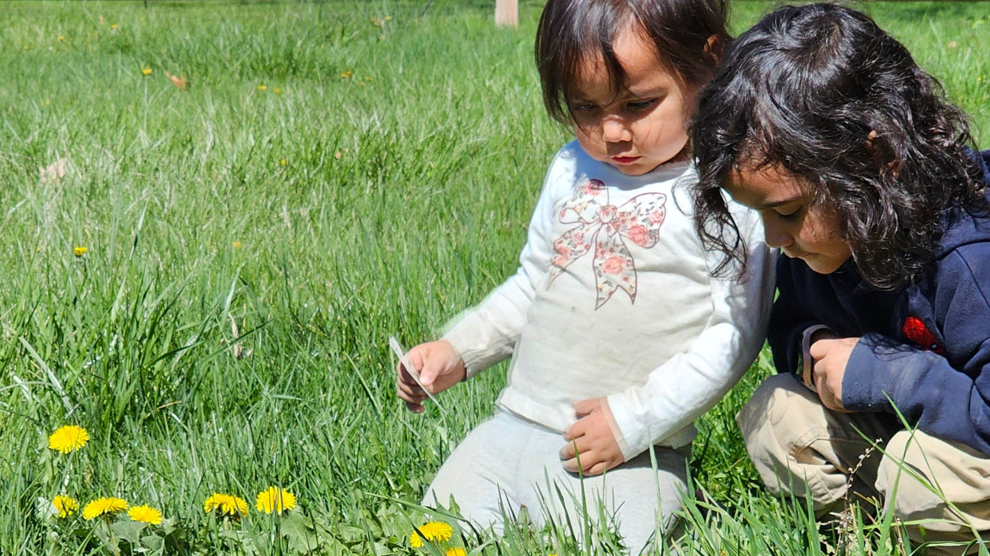 Tuition for kids education